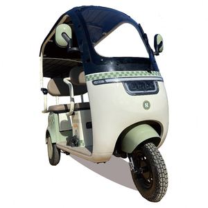 Remolque de Pasajeros para Bicicleta Eléctrica, Económico, para Venta - Product Image 2