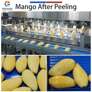Machine à peler les mangues automatique à 8/16 têtes, machine à peler les mangues industrielle - Product Image 5