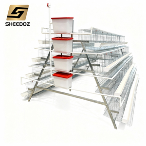 Cage à batterie galvanisée pour poules pondeuses de type A pour élevage avicole, <span class=keywords><strong>vente</strong></span> de cages pour poules pondeuses - Product Image 4