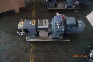 Bombas de Lóbulos de Chocolate, Carro Móvil, Control Continuo o por Variador de Frecuencia, Incluye Cubierta Impermeable, Mini Bomba Rotativa - Product Image 2