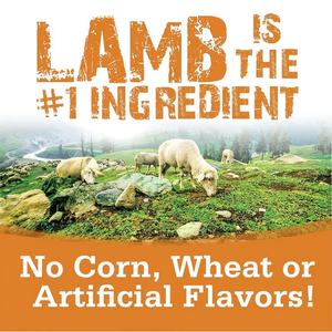 OEM/ODM Marca Privada Nutrición Inmunológica para Mascotas Chondroprotector Protege las Articulaciones para Perros Probióticos Masticables Funcionales para la Movilidad - Product Image 3