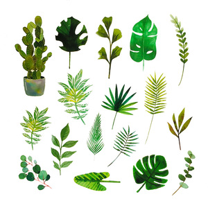 60PCS Mini pianta verde fiore piccolo Cactus foglia di palma auto da parete frigo bagagli laptop <span class=keywords><strong>adesivi</strong></span> impermeabili - Product Image 4