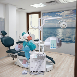 Sistema de Entrenamiento de Simulación Dental, Modelo Anatómico de Tamaño Real, Ecológico, No Tóxico, para Educación en Ciencias Médicas, Dientes Humanos - Product Image 5