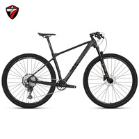 Vélo de montagne Twitter M5 avec cadre en carbone, roues de 29 pouces, frein à disque M6100-12S, pédale ordinaire XC Cross-Country, 12 vitesses, vélo de montagne pour hommes