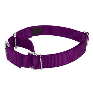 Hoge Kwaliteit Verstelbare Metalen Gesp Grote Honden Martingaal Halsband - Product Image 4