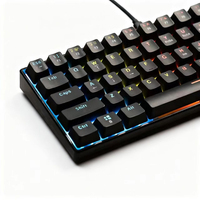 Tastiera Meccanica Cablata con Logo Personalizzato, Illuminazione LED Mista, Anti-Ghosting, Layout 60% per Laptop e PC