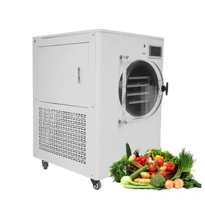 Large capacity industrial vacuum food freeze dryer for fruits vegetables