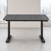 Table de bureau électrique silencieuse en bois AOR, réglable en hauteur, double usage assis-debout, pour ordinateur, couleurs personnalisables
