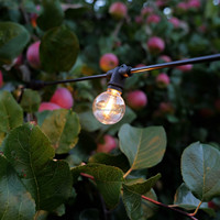 Guirlande lumineuse connectable IP65 G40 100m 100 ampoules, blanc chaud, dimmable, CRI80, garantie 3 ans, éclairage décoratif extérieur, à brancher