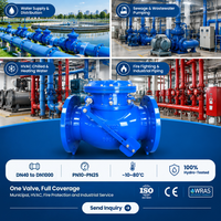 Clapet anti-retour à bride en fonte ductile GGG50 PN10 DN80 PN16 pour système de filtration de piscine