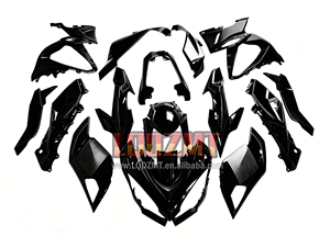 Carenado de Inyección para <span class=keywords><strong>KAWASAKI</strong></span> <span class=keywords><strong>NINJA</strong></span> <span class=keywords><strong>1000</strong></span> 1100 Z1000SX Z1100SX SX1000 2020 2021 <span class=keywords><strong>2022</strong></span> 2023 2024 2025 - Product Image 2