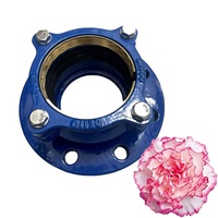 PE/HDPE/pvc管用LEEBOO DN100 PN10球墨铸铁圆形DI快速释放联轴器和约束法兰适配器