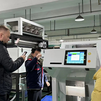 Petite machine de tri pour l'élimination de l'aflatoxine, machine de tri de noix de muscade pour l'élimination des particules d'aflatoxine avec technologie de lumière UV