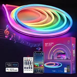 Multicolor Bedroom Wall Decor 12 24 Volt Dream Color Lamp dc24v 6*13 8*17mm RGB Flex LED Neon Rope Light for Living Gaming Room