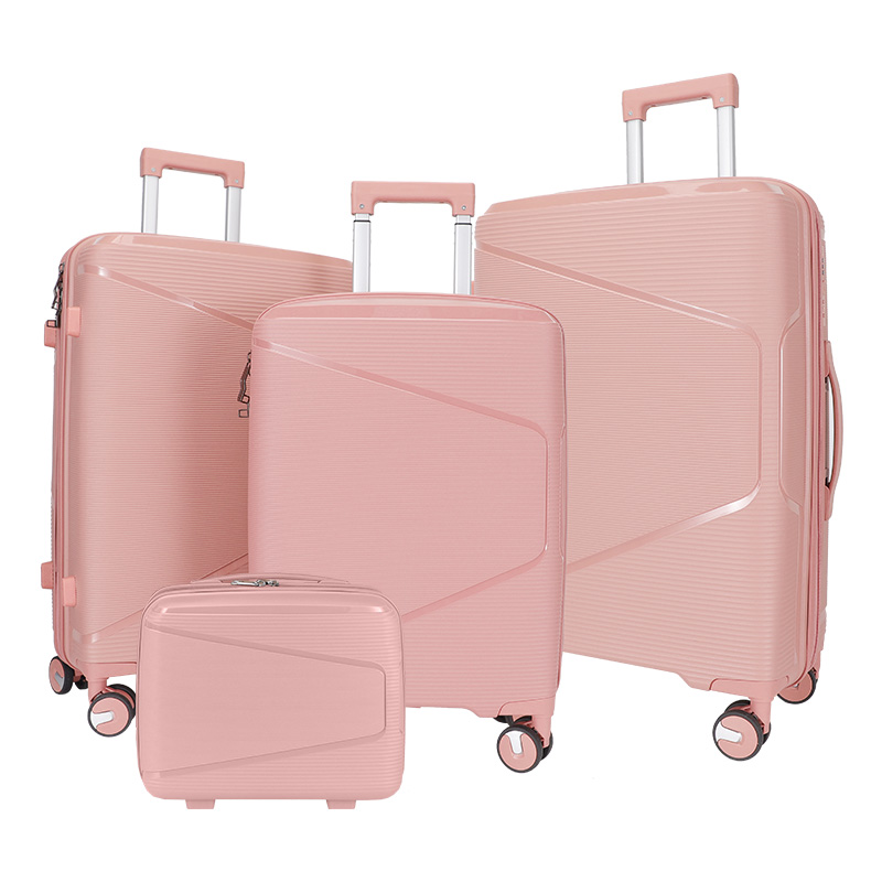 suitcase optical frame