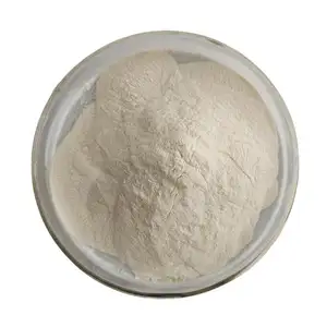 Industrial Oilfield Cosmetic 80 200 Mesh Food Grade Xanthan Gum Powder