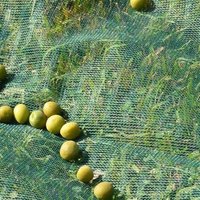 Filet de récolte d'olives en PEHD anti-UV, direct usine, avec service de découpe, pour serres, disponible en couleurs vives