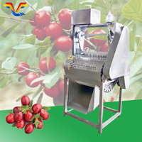 Hoge capaciteit gepersonaliseerde fruitzaadverwijderingsmachine olijfpitmachine met geweldige prijs