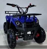 Quad 49CC à essence avec amortisseur, construction plastique et métallique, démarrage manuel, échappement – Vente directe usine pour acheteurs en gros mondiaux (Hebei)