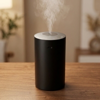 Diffuseur d'air frais à diffusion froide 2026 en promotion, nébuliseur de luxe super silencieux, diffuseur de voiture portable sans fil en métal sans eau