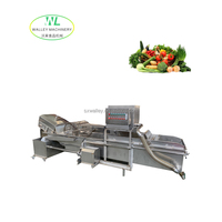 Industriële roestvrijstalen groentewasmachine voor fruit, met after-sales ondersteuning voor de verwerking van erwten, maïs en wortels, van Chinese fabriek.