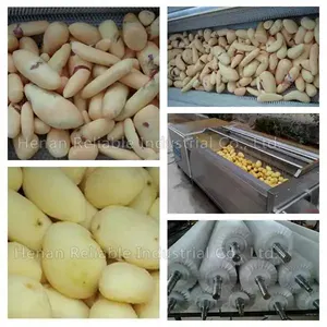 Vegetable Roller Brush Cleaning Washing Peeling Machine For Potato/Pumpkin/Cassava/Palm/Carrot/Onion