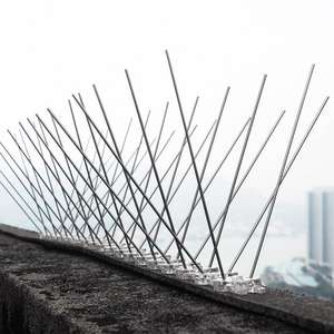 Offre Spéciale réglable professionnel inoxydable physique répulsif Anti escalade cour <span class=keywords><strong>Pigeon</strong></span> contrôle pointes d'oiseaux pour la ferme - Product Image 4