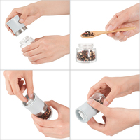 Nouveau design Gadgets de cuisine Moulin à sel et à poivre en plastique RPET Moulin à épices portable Mini moulin à sel et à poivre manuel réglable