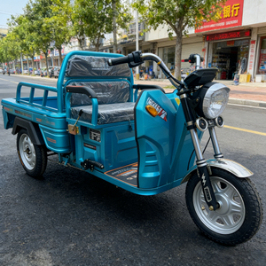 Potente Motocicleta <span class=keywords><strong>de</strong></span> Carga <span class=keywords><strong>de</strong></span> 3 Ruedas con Batería <span class=keywords><strong>de</strong></span> Plomo-Ácido <span class=keywords><strong>de</strong></span> 60V, Carrocería Abierta, Capacidad <span class=keywords><strong>de</strong></span> Carga <span class=keywords><strong>de</strong></span> 400 kg, Velocidad <span class=keywords><strong>de</strong></span> 30 km/h, Motorizada, 2 GCC/Dot - Product Image 5
