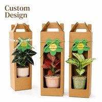 Boîte cadeau personnalisée en papier kraft avec fenêtre et poignée, emballage en carton pour pot de fleurs, idéal pour la vente au détail de plantes succulentes en pépinière