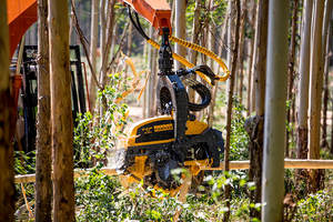 Equipo de Corte Forestal <span class=keywords><strong>PONSSE</strong></span> H7 H7HD, Cabezal de Cosechadora con Apertura de 650 mm para Excavadora Forestal de 20 y 25 Toneladas - Product Image 6