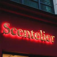 Enseigne lumineuse personnalisée en métal avec logo LED pour entreprise, salon de beauté, spa, maison et hôtels, décoration murale