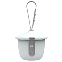 Stérilisateur UVC portable multifonctionnel en plastique pour sucettes, prothèses dentaires, clés, bijoux et écouteurs – Usage domestique et voyage