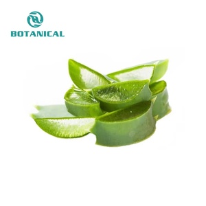 ผงว่านหางจระเข้มีความบริสุทธิ์สูงจากธรรมชาติ200X ผงว่านหางจระเข้20% 95% - Product Image 5