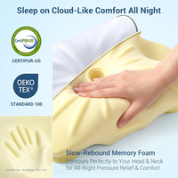 Bantal Tidur Ergonomis Kontur Kupu-kupu dari Busa Memori dengan Penyangga Leher dari Tanduk Sapi Asli, Dapat Dicuci, untuk Mengurangi Nyeri Leher, Kualitas Hotel