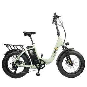 도매 250 와트 1000 와트 허브 모터 Ebike 배터리 20 인치 지방 타이어 단계 통해 전기 자전거