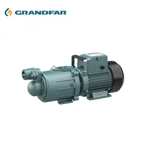 GRANDFAR 220V 0.75hp 0.55kw铜线电机家用电动自吸农业灌溉螺旋水泵