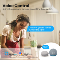 Módulo de Interruptor Inteligente WiFi, Sin Necesidad de Cable Neutro, Relé de Interruptor de 2, 3 y 4 Canales, Neutro Opcional, Compatible con Alexa y Hey Google, 240V 10A