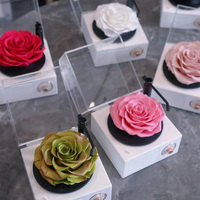 Acrylique Rose Boîte Cadeau Phonographe Immortel Éternelle Rose Fleur Préservée Pour Noël Saint Valentin Cadeaux