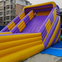 Douerfei - Château gonflable commercial Mickey Mouse et Donald Duck avec toboggan, en PVC écologique, capacité 300 kg, pour 5 à 15 personnes