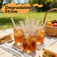 Pailles à boire en PLA entièrement biodégradables et compostables, pailles jetables écologiques pour bubble tea, café, jus