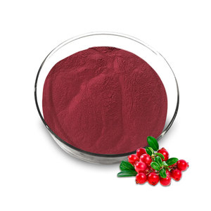 Polvo de extracto de arándano de alta calidad, extracto de fruta rico en antioxidantes, antocianidinas, 1kg, pedido mínimo, botella para el mantenimiento de la salud - Product Image 3