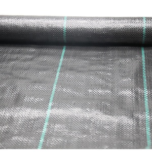 <span class=keywords><strong>Toile</strong></span> <span class=keywords><strong>de</strong></span> <span class=keywords><strong>paillage</strong></span> noire en plastique PP pour le contrôle des adventices, film <span class=keywords><strong>de</strong></span> <span class=keywords><strong>paillage</strong></span> anti-herbe - Product Image 1