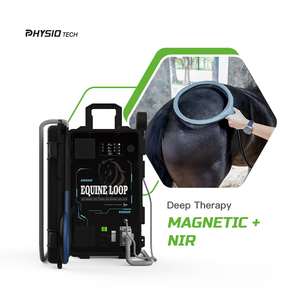 PEMF hewan perangkat Terapi magnetik untuk kuda anjing Equine manajemen nyeri <span class=keywords><strong>Laser</strong></span> dingin peralatan kesehatan profesional - Product Image 2