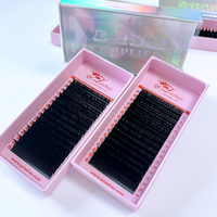 Fournitures pour cils en gros, logo personnalisé, noir mat, velours cachemire, fait main, extensions de cils en vison et soie CC/DD, plateaux