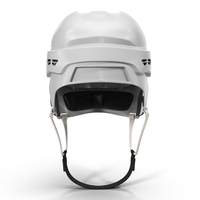 Impression 3D Résine de moulage SLS/SLA PA/PP/PC/ABS Résine de prototypage rapide Impression 3D LCD Service d'impression 3D pour casque de hockey sur glace vintage