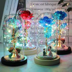 2025 LED Enchanted <span class=keywords><strong>Galaxy</strong></span> Rose 24K Gold Foil Fairy String Lights Navidad y Día de la madre Domo Navidad y regalo del Día de San Valentín - Product Image 6
