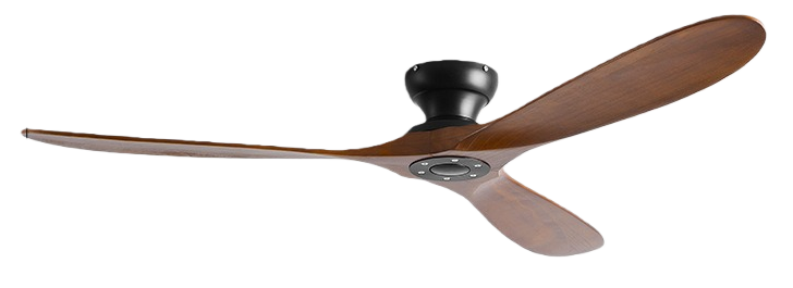 วอลนัทดำ