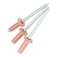 Bouchon en cuivre, fer, métal, acier, noyau en aluminium, mandrin de traction, tête ronde, extrémité ouverte, Rivets Pop store DIN7337