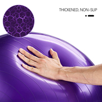 Ballon de Yoga Personnalisé en PVC, Ballon de Gymnastique Suisse, Ballon de Fitness, Ballon de Pilates, Ballon de Yoga 25cm 55cm 65cm 75cm avec Pompe et Logo